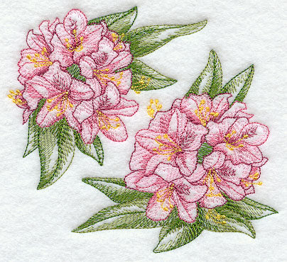 Rhododendron Sketch