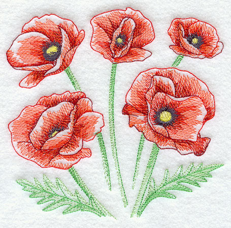 Poppy Sketch