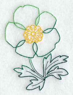 Canada Anemone 2 (Vintage)