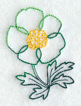 Canada Anemone 2 (Vintage)