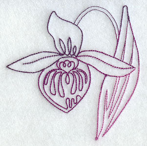 Lady's Slipper 2 (Vintage)