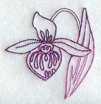 Lady's Slipper 2 (Vintage)