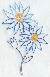 Bitterroot 1 (Vintage)