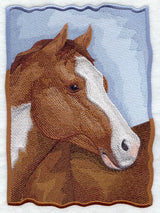 American Paint Horse Portrait