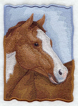 American Paint Horse Portrait