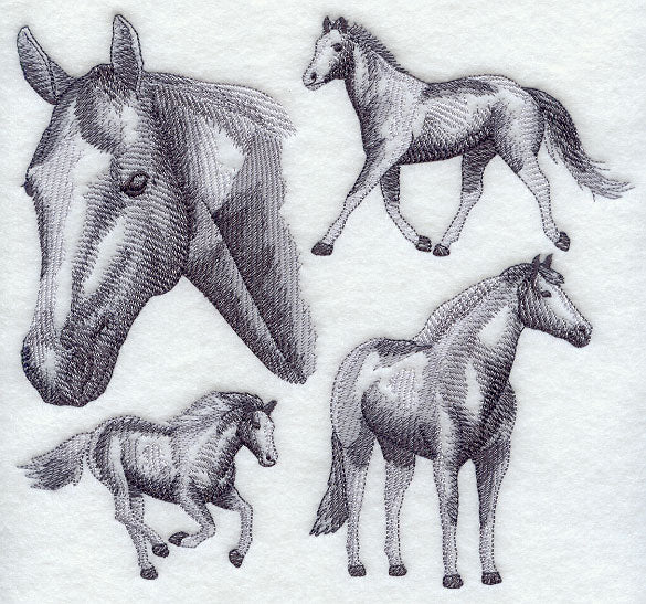 American Paint Horse Sketch