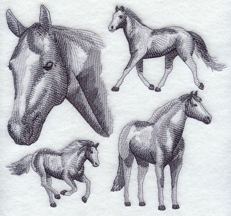 American Paint Horse Sketch