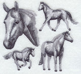 American Paint Horse Sketch