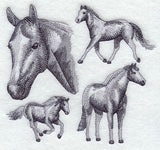 American Paint Horse Sketch