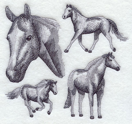 American Paint Horse Sketch
