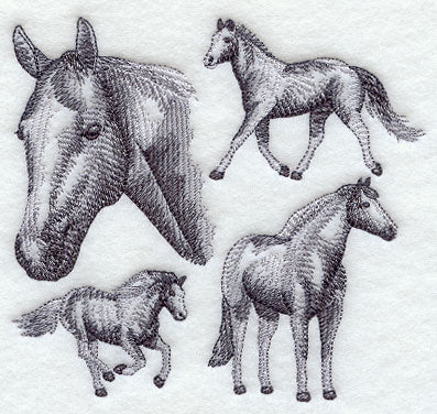 American Paint Horse Sketch