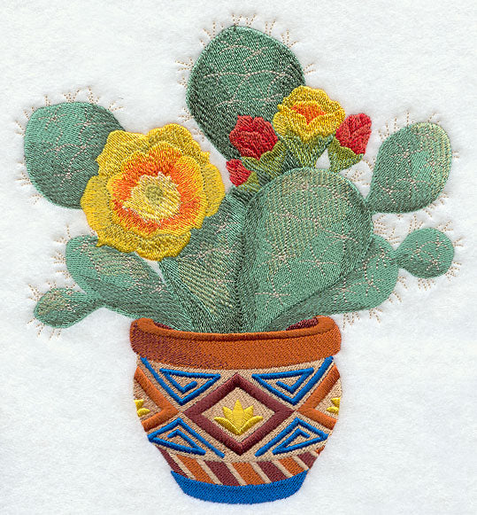 Southwest Cactus Blooms