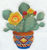 Southwest Cactus Blooms