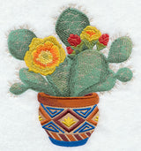 Southwest Cactus Blooms