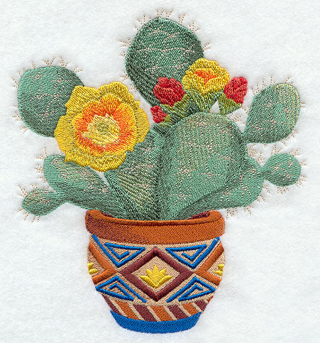 Southwest Cactus Blooms