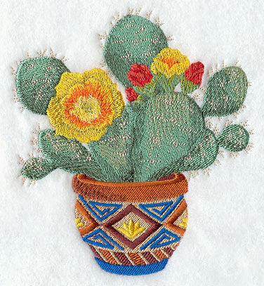 Southwest Cactus Blooms