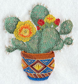 Southwest Cactus Blooms