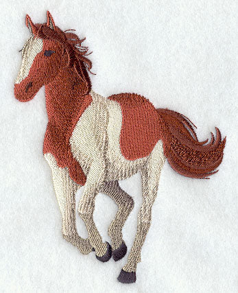 American Paint Horse