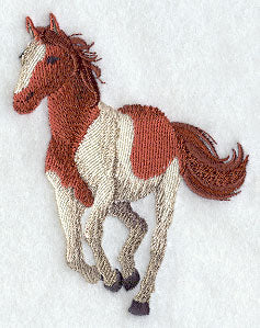 American Paint Horse