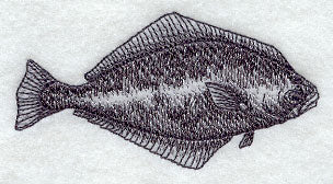 Halibut Sketch