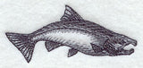 Coho Salmon Sketch