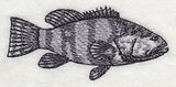 Saltwater Grouper Sketch