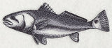 Saltwater Redfish Sketch