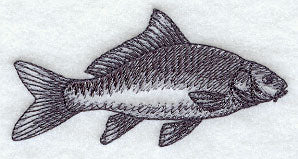 Carp Sketch