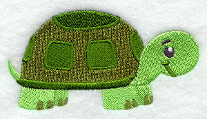 Playful Turtle