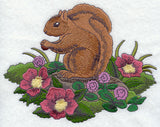 Park Place - Squirrel