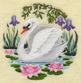 Swan Scene