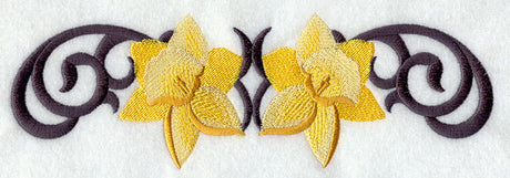 Scrollwork Daffodil Border