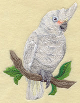 Goffin's Cockatoo