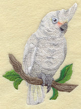 Goffin's Cockatoo