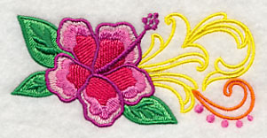 Brilliant Hibiscus Border