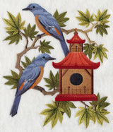 Blue Rock Thrushes and Birdhouse