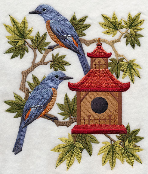 Blue Rock Thrushes and Birdhouse