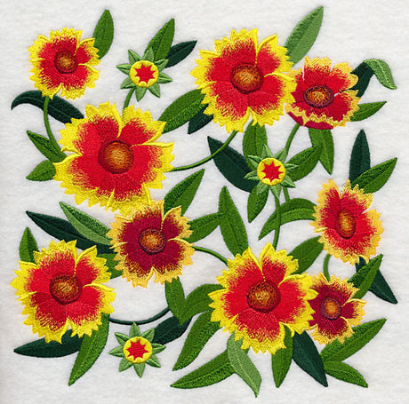 Goblin Blanket Flower Blossoms