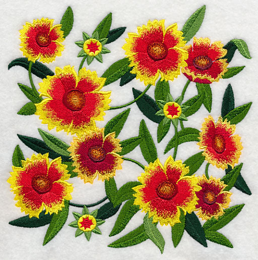 Goblin Blanket Flower Blossoms