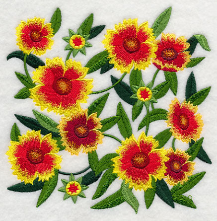 Goblin Blanket Flower Blossoms