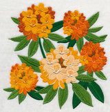 Rhododendron Blossoms