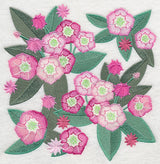 Mountain Laurel Blossoms