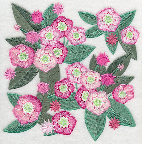 Mountain Laurel Blossoms