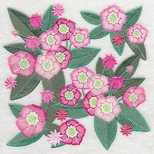 Mountain Laurel Blossoms