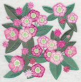 Mountain Laurel Blossoms