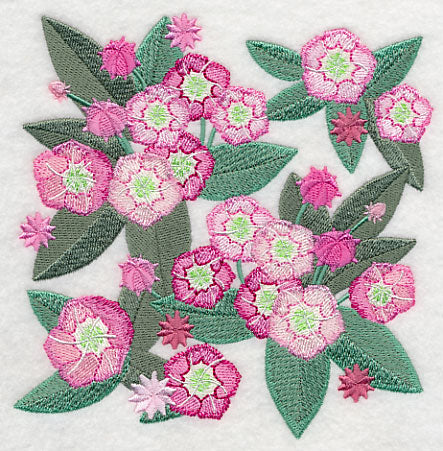 Mountain Laurel Blossoms