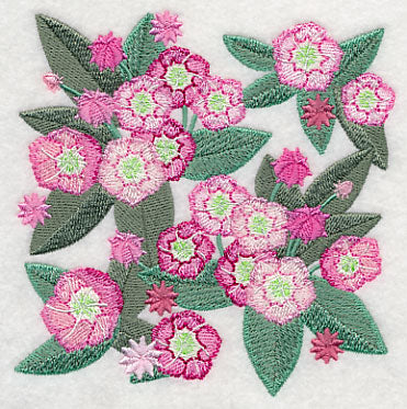 Mountain Laurel Blossoms