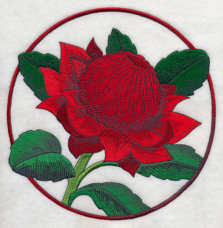 Elegant Flower Circle - Waratah