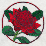 Elegant Flower Circle - Waratah