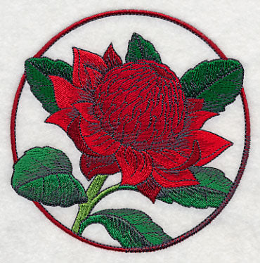 Elegant Flower Circle - Waratah